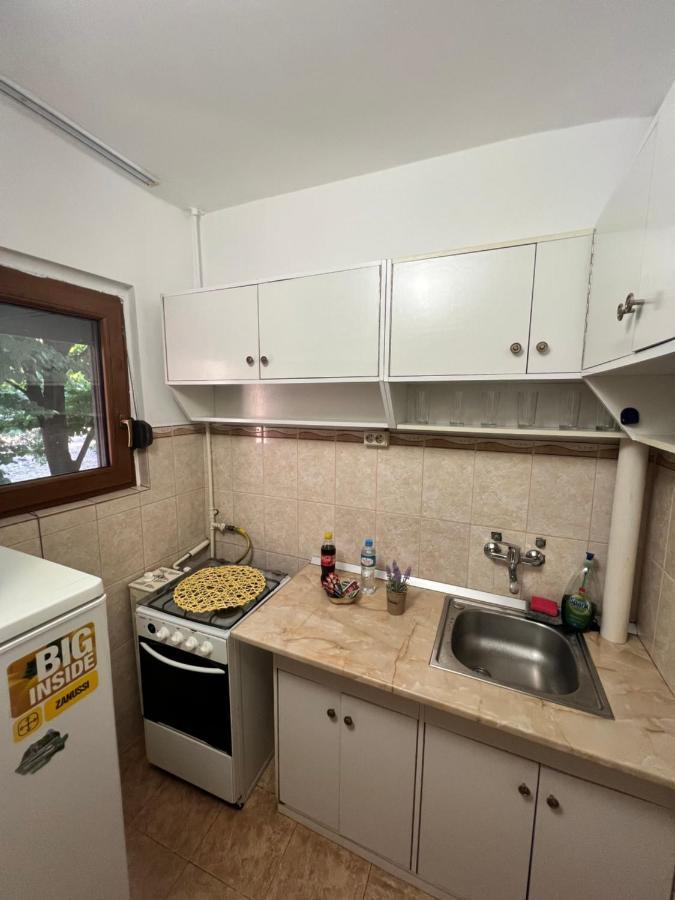 Miha Modern And Central Apartament Malul Muresului Arad Zewnętrze zdjęcie