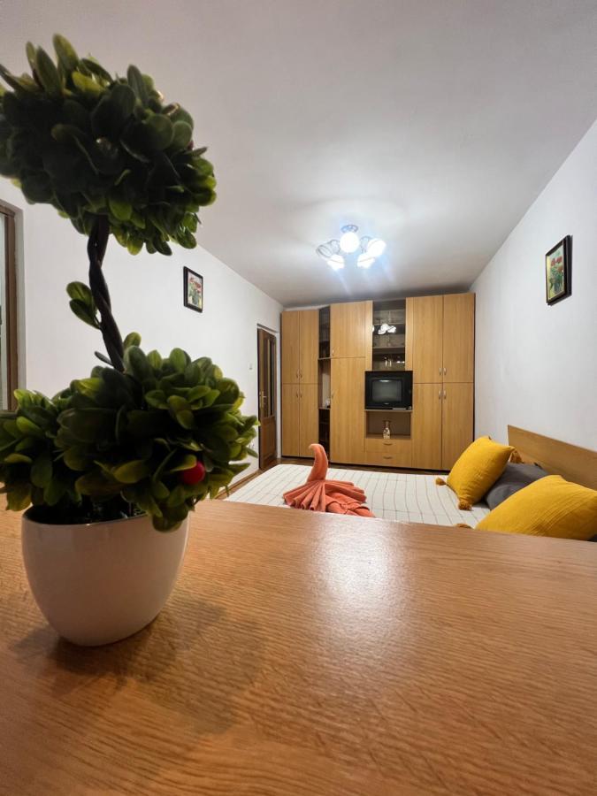 Miha Modern And Central Apartament Malul Muresului Arad Zewnętrze zdjęcie