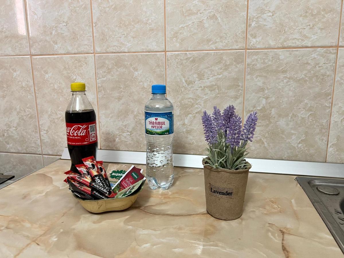 Miha Modern And Central Apartament Malul Muresului Arad Zewnętrze zdjęcie