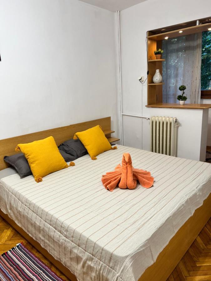 Miha Modern And Central Apartament Malul Muresului Arad Zewnętrze zdjęcie