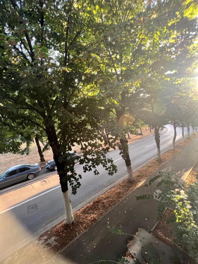 Miha Modern And Central Apartament Malul Muresului Arad Zewnętrze zdjęcie