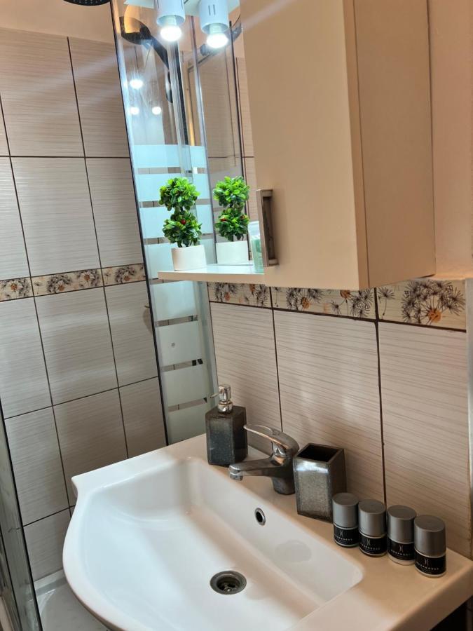 Miha Modern And Central Apartament Malul Muresului Arad Zewnętrze zdjęcie