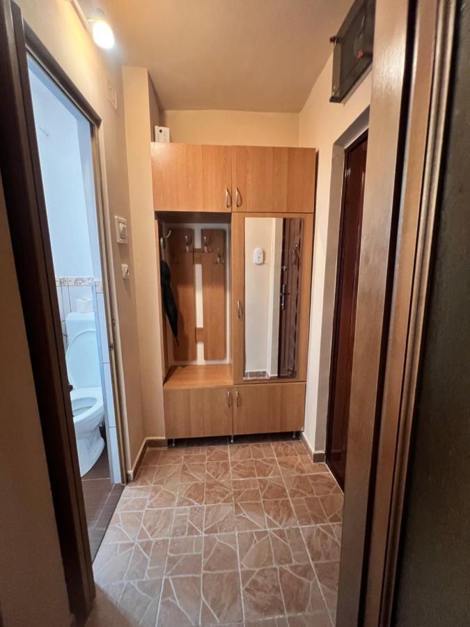 Miha Modern And Central Apartament Malul Muresului Arad Zewnętrze zdjęcie